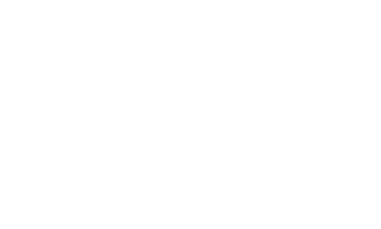 BIBI Flex